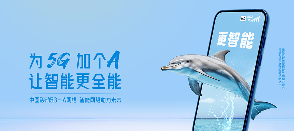 中国移动环县移动宽带
