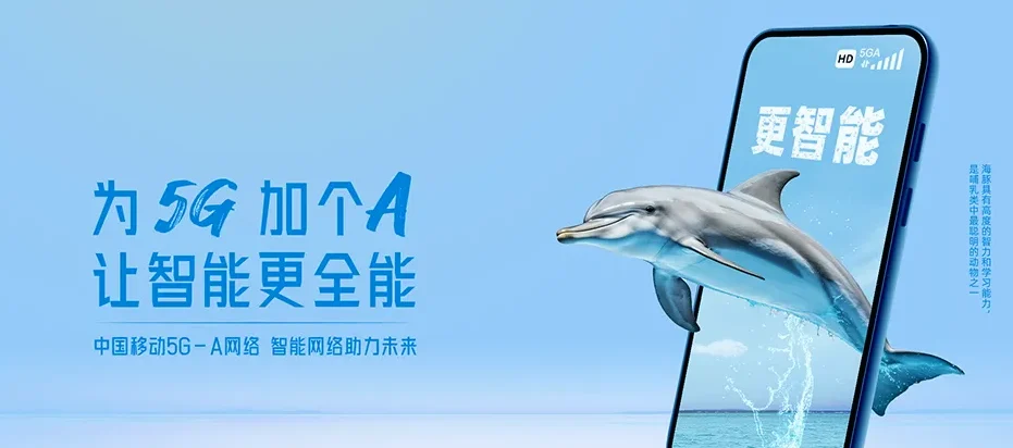 环县环县洪德乡 移动宽带